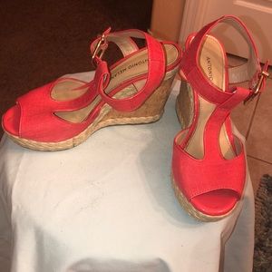 Antonio Melani Wedges
